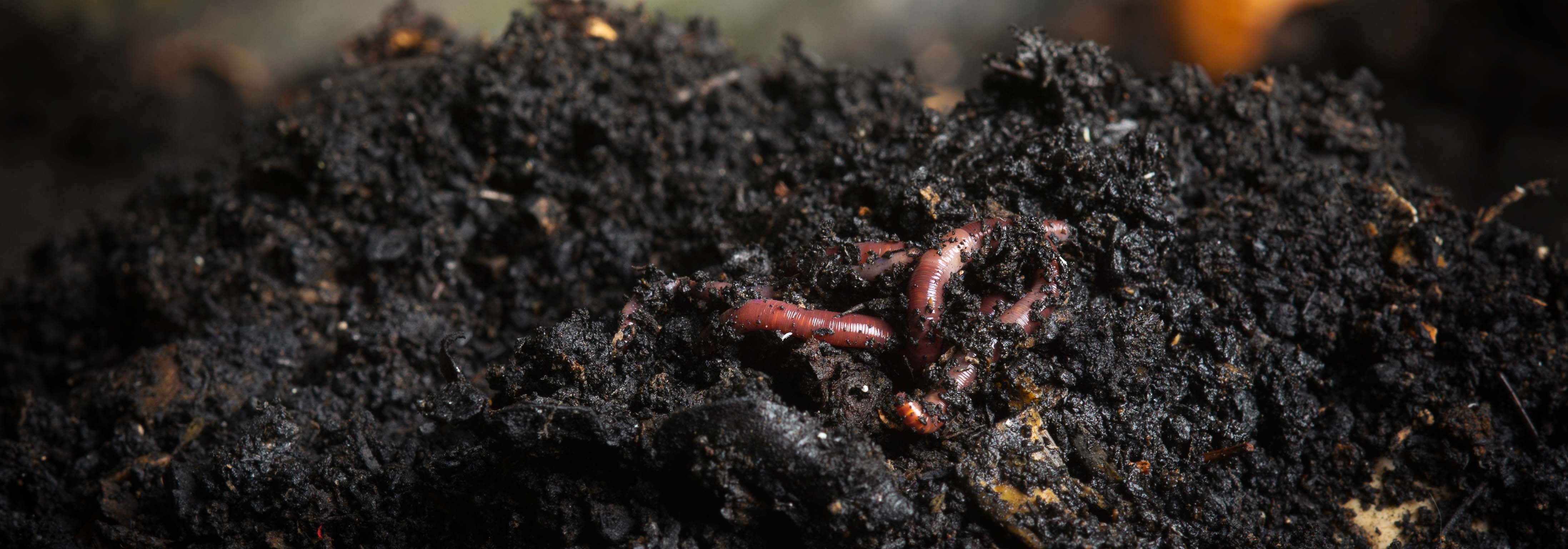 Composting