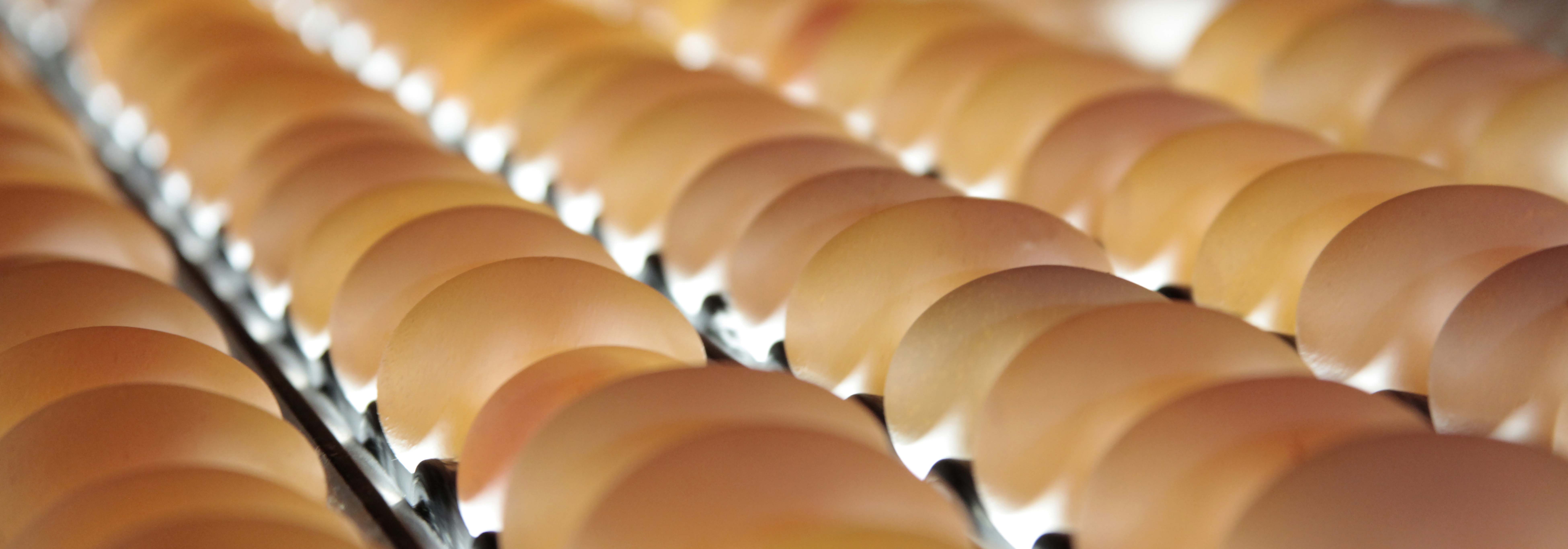 egg-packing